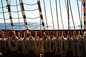 Mit dem Segelschiff auf der Nordsee