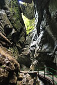  Breitachklamm, Oberstdorf, Allgäu, Germany 