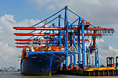 container ship Palena in the Port of Hamburg, Germany, Europe