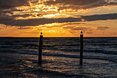  Two seagulls sitting on wooden poles, sunset behind them, Baltic resort Zingst, Mecklenburg-Vorpommern, Germany 