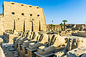 Der Luxor-Tempel ist ein großer altägyptischer Tempelkomplex am Ostufer des Nil in Luxor, Ägypten