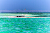 Sandbank in der Naehe von Hurghada, Ägypten