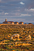 Punta Nati cape lighthouse, Ciutadella, Menorca, Balearic Islands, Spain