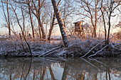 Winterabend am Altwasser der Ammer in der Nähe von Weilheim, Oberbayern, Deutschland, Europa