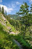  On the trail through the Rappin Gorge, Jachenau, Upper Bavaria, Bavaria, Germany 