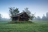  Old barn at daybreak, Weilheim, Upper Bavaria, Bavaria, Germany 