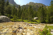 Der Fluss Riu de Monestero im Nationalpark Aigüestortes i Estany de Sant Maurici, Katalonien, Spanien, Europa