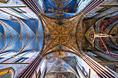  The painted ceiling of the pilgrimage church Marienbasilika in Kevelaer, Lower Rhine, North Rhine-Westphalia, Germany, Europe 