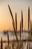 Sonnenuntergang an der Seebrücke in Wustrow, Wustrow, Ostsee, Fischland, Darß, Zingst, Mecklenburg-Vorpommern, Deutschland, Europa