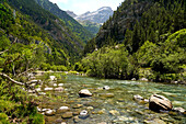 Der Fluss Ara im Bujaruelo-Tal oder Valle de Bujaruelo bei Torla-Ordesa, Spanien, Europa