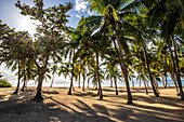  Plage de Bois Jolan, sunrise on the beach, Sainte-Anne, Guadeloupe, French Antilles, France, Europe 