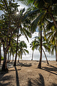 Plage de Bois Jolan, Sonnenaufgang am Strand, Sainte-Anne, Guadeloupe, Französische Antillen, Frankreich, Europa