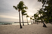 Plage du bourg, Sonnenuntergang am Strand, Sainte-Anne, Guadeloupe Französische Antillen, Frankreich, Europa