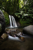  Ecrevisses waterfalls, jungle around the village of Vernou, Guadelupe French Antilles, France, Europe 