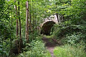 Wanderweg im Höllental bei Lichtenberg, Frankenwald, Ober-Franken, Franken, Bayern, Deutschland