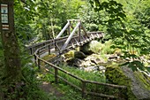 Wanderweg im Höllental bei Lichtenberg, Frankenwald, Ober-Franken, Franken, Bayern, Deutschland