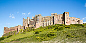  Bamburgh Castle, Northumberland, England, Großbritannien 