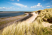 Sandy beach at low tide, Budle Bay, Northumberland, England, UK