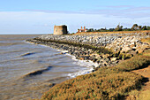 Martello tower W defended by rock armour from coastal erosion, East Lane, Bawdsey, Suffolk, England, UK