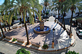  Brunnen und Palmen auf der Plaza de Espana, Vejer de la Frontera, Provinz Cadiz, Spanien 