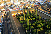 Raised angle view of Great Mosque courtyard gardens, Mezquita cathedral,  Cordoba, Spain