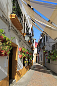 Attractive shaded houses cobbled street in of part of city, Horno de Porras, Cordoba, Spain