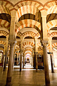  Maurische Bögen in der ehemaligen Moschee, heute Kathedrale, Cordoba, Spanien 