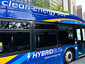  Hybridbus, New York City, New York, USA 