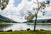 Bühl, Großer Alpsee, Immenstadt, Oberallgäu, Allgäu, Schwaben, Bayern, Deutschland