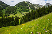  Mountain farming village, Gerstruben, Dietersbachtal, near Oberstdorf, Allgäu Alps, Allgäu, Bavaria, Germany 