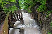 Wasserlauf in der Seisenbergklamm, Weissbach bei Lofer, Salzburg, Österreich