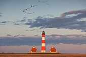  Westerhever lighthouse and flying barnacle geese, Branta leucopsis, Wadden Sea National Park, North Frisia, Schleswig-Holstein, Germany 