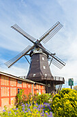 Windmühle Lemkenhafen, Insel Fehmarn, Schleswig-Holstein, Deutschland