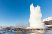  Strokkur Geysir (Butter Churn Geysir) in the Haukadalur hot spring valley erupting, winter, Iceland 