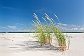 Strand bei Sandhammaren an der Ostsee, Skane, Schweden