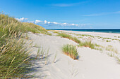 Strand bei Sandhammaren an der Ostsee, Skane, Schweden