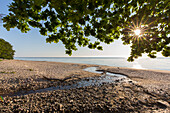 Strand von Knäbäckshusen, Provinz Schonen, Schweden