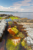 Felsige Küste an der Ostsee bei Vik, Skane, Schweden