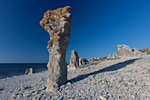  Limestone columns on the beach of Langhammar, Faroe Island, Gotland Island, Sweden 