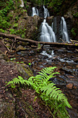 Forsakar, Wasserfall, 10,6m Höhe, Skåne, Schweden