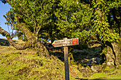 Wegweiser im Wandergebiet von Fanal, Madeira, Portugal.