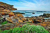  Coastal landscape on the Garden Route with rocks covered in yellow lichen, Otter Trail, Tsitsikamma Section, Garden Route National Park, Eastern Cape, South Africa 