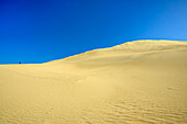 Person steigt auf große Sanddüne, Alexandria Hiking Trail, Addo Elephant National Park, Eastern Cape, Südafrika