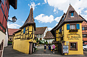  Medieval village and colorful half-timbered houses, Eguisheim, Plus beaux villages de France, Haut-Rhin, Alsace, France 