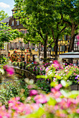 Malerische bunte Fachwerkhäuser und Blumenschmuck, La Petite Venise, Colmar, Elsass, Bas-Rhin, Grand Est, Frankreich