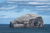 Blick auf den Bass Rock und seinen Leuchtturm, East Lothian Coast, Schottland, Vereinigtes Königreich