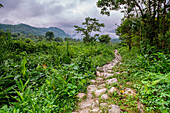 Little Treasure Road, -Tesoro Chiquito- La Taña, Northern Transversal Strip, Quiché Department, Guatemala