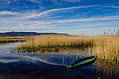 Tablas de Daimiel National Park, Ciudad Real, Castile-La Mancha, Spain, Europe