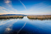  Nationalpark Tablas de Daimiel, Ciudad Real, Kastilien-La Mancha, Spanien, Europa 