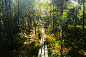 Bohlenweg durch Listorp, ein Naturschutzgebiet in Südschweden